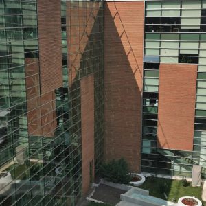 DEMO MASİF AHŞAP CEPHE KAPLAMA ÜRÜN