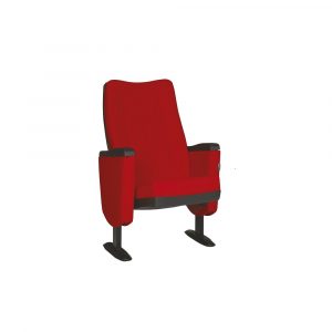 KONFERANS KOLTUĞU-001